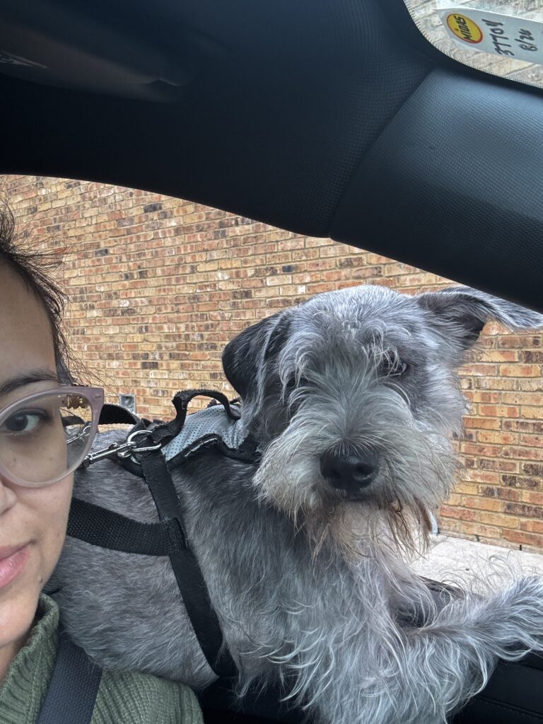 Bee and Oliver her schnauzer running errands together post bariatric surgery